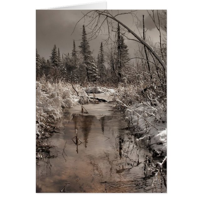 voorjaars (Voorkant)