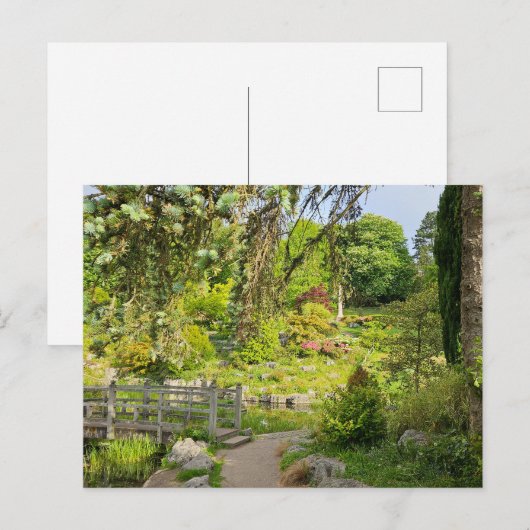 Voorjaars ochtend briefkaart (Voorkant / Achterkant)