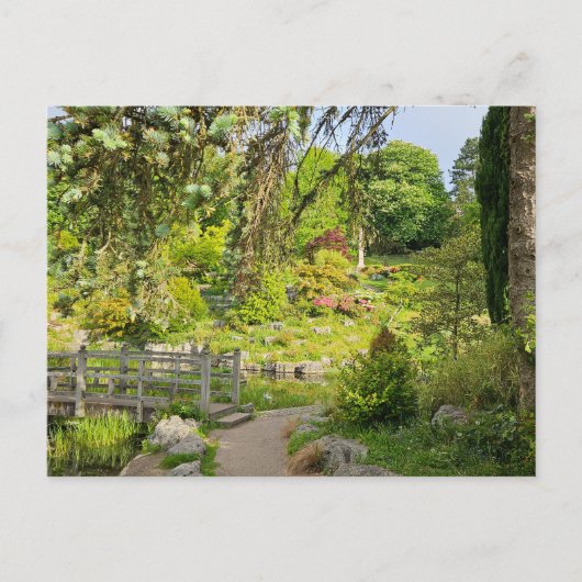 Voorjaars ochtend briefkaart (Voorkant)