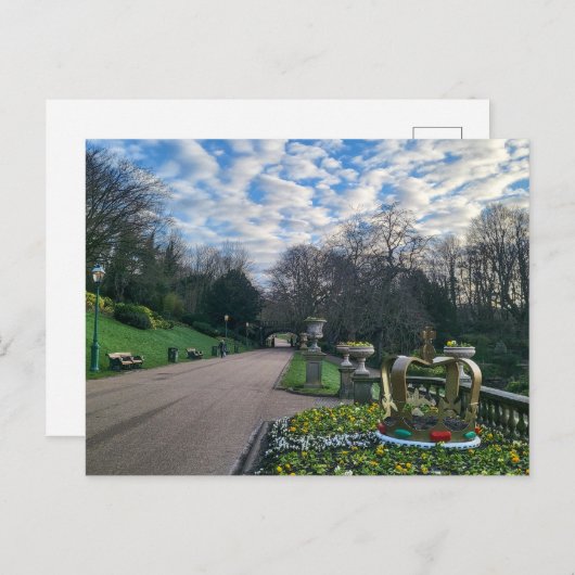 Voorjaars ochtend briefkaart (Voorkant / Achterkant)