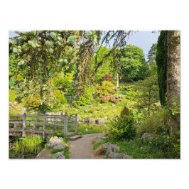 Voorjaars ochtend foto afdruk