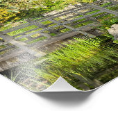 Voorjaars ochtend foto afdruk (Hoek)