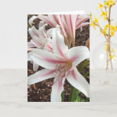 Voorjaars wenskaart #2 (leeg binnen) kaart (Gele Bloem)