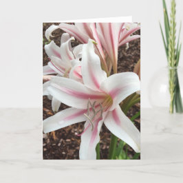 Voorjaars wenskaart #2 (leeg binnen) kaart