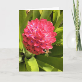 Voorjaars wenskaart #3 (leeg binnen) kaart