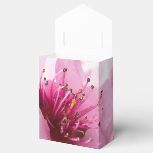 Voorjaarsbloei Bedankdoosjes (Geopend)