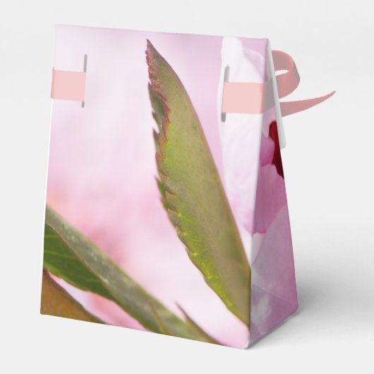 Voorjaarsbloei Bedankdoosjes (Achterkant)