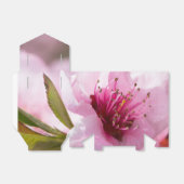 Voorjaarsbloei Bedankdoosjes (Uitgevouwen)