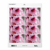 Voorjaarsbloei Etiket (Full Sheet)