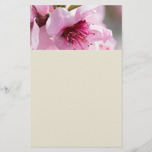 Voorjaarsbloei Flyer (Achterkant)