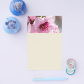 Voorjaarsbloei Flyer (Enkel)