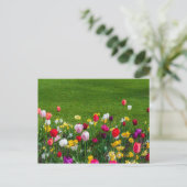 Voorjaarsbloemen briefkaart (Staand voorkant)