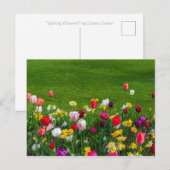 Voorjaarsbloemen briefkaart (Voorkant / Achterkant)