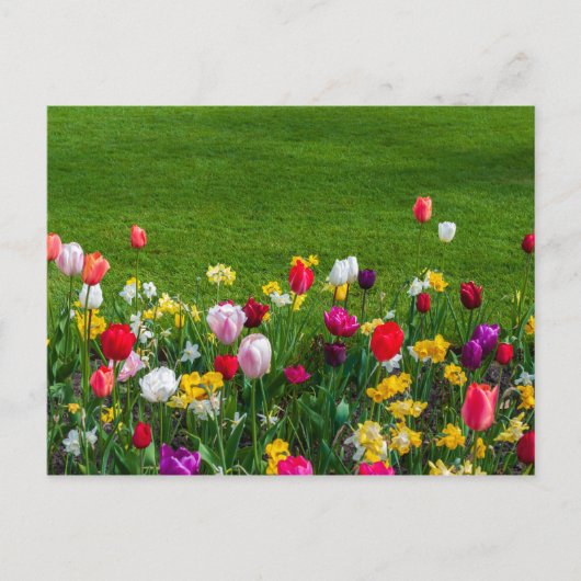 Voorjaarsbloemen briefkaart (Voorkant)