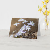 Voorjaarsbloemen met regendruppels kaart (Gele Bloem)