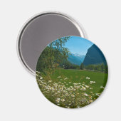 Voorjaarsbloemen van Noorwegen Magneet (Voorkant / Achterkant)