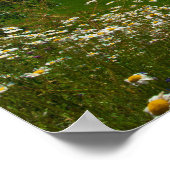 Voorjaarsbloemen van Noorwegen Poster (Hoek)