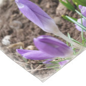 Voorjaarscrocussen Korte Tafelloper (Hoek)