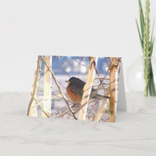 Voorjaarsgroeten Kaart