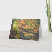 voorjaarskippen kaart (Voorkant)