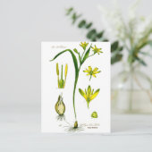 Voorjaarskruiden Briefkaart (Staand voorkant)