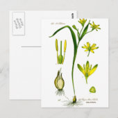 Voorjaarskruiden Briefkaart (Voorkant / Achterkant)