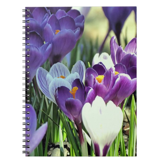 Voorjaarskruipen - notitieboek (Voorkant)
