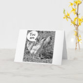 VOORJAARSKUIKEN ZELFS OP DE LEEFTIJD VAN "40" VERJ KAART (Gele Bloem)