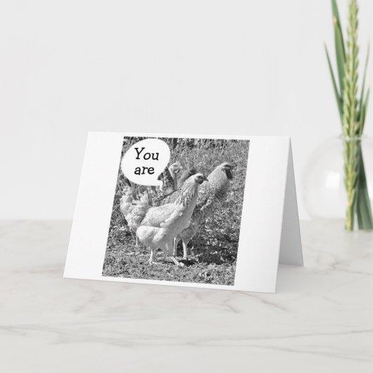 VOORJAARSKUIKEN ZELFS OP DE LEEFTIJD VAN "40" VERJ KAART (Voorkant)