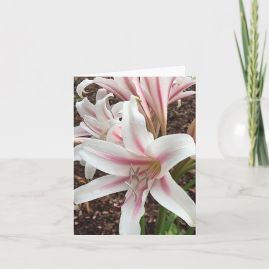 Voorjaarsnota #2 kaart (Voorkant)