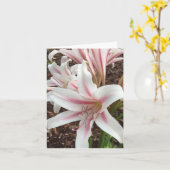 Voorjaarsnota #2 kaart (Gele Bloem)