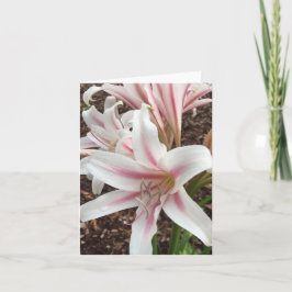 Voorjaarsnota #2 kaart