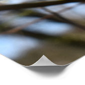 Voorjaarsontwaking Poster (Hoek)