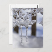 Voorjaarspictogrammen Briefkaart (Voorkant / Achterkant)