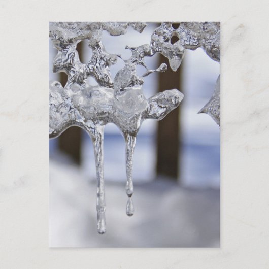 Voorjaarspictogrammen Briefkaart (Voorkant)