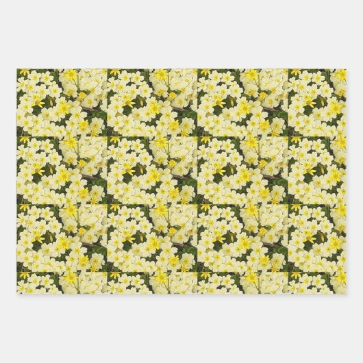 Voorjaarsprimroses Inpakpapier Vel (Voorkant 2)