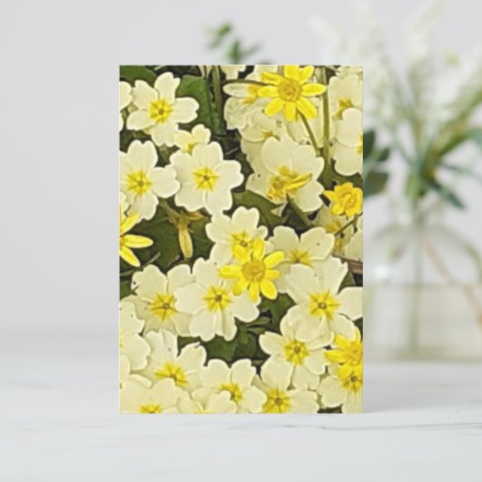 Voorjaarsprimroses Kaart (Staand voorkant)