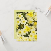 Voorjaarsprimroses Kaart (Voorkant / Achterkant in situ)