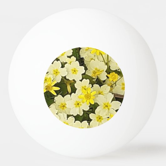 Voorjaarsprimroses Pingpongbal (Voorkant)