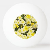 Voorjaarsprimroses Pingpongbal (Achterkant)