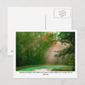 Voorjaarssereniteit Briefkaart (Voorkant / Achterkant)