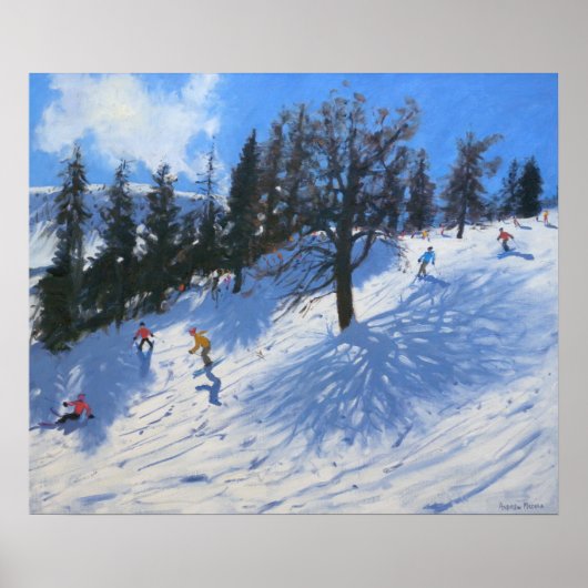 Voorjaarsskiers Verbier 2010 Poster (Voorkant)