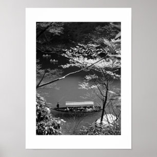 Voorjaarsvaren: Arashiyama, Kyoto Poster