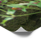 voorjaarsvoeding poster (Hoek)