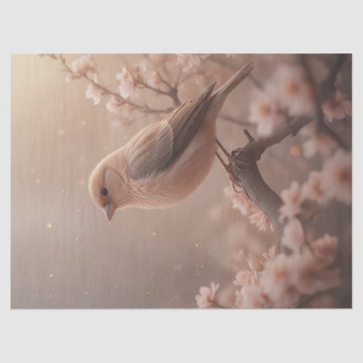 Voorjaarsvogel  in roze tissuepapier (Voorkant)