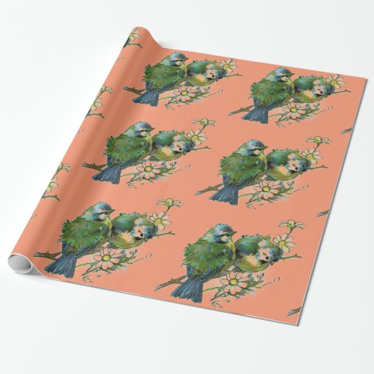 Voorjaarsvogels Cadeaupapier (Uitgerold)