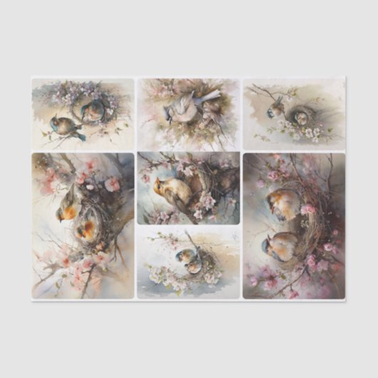 Voorjaarsvogels Tissuepapier (Voorkant)