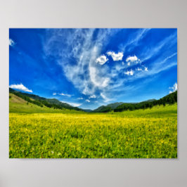 Voorjaarsweide en blauwe hemel poster