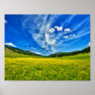 Voorjaarsweide en blauwe hemel poster