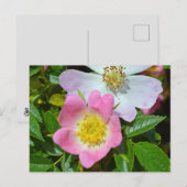 Voorjaarswensen Feestdagenkaart (Voorkant / Achterkant)